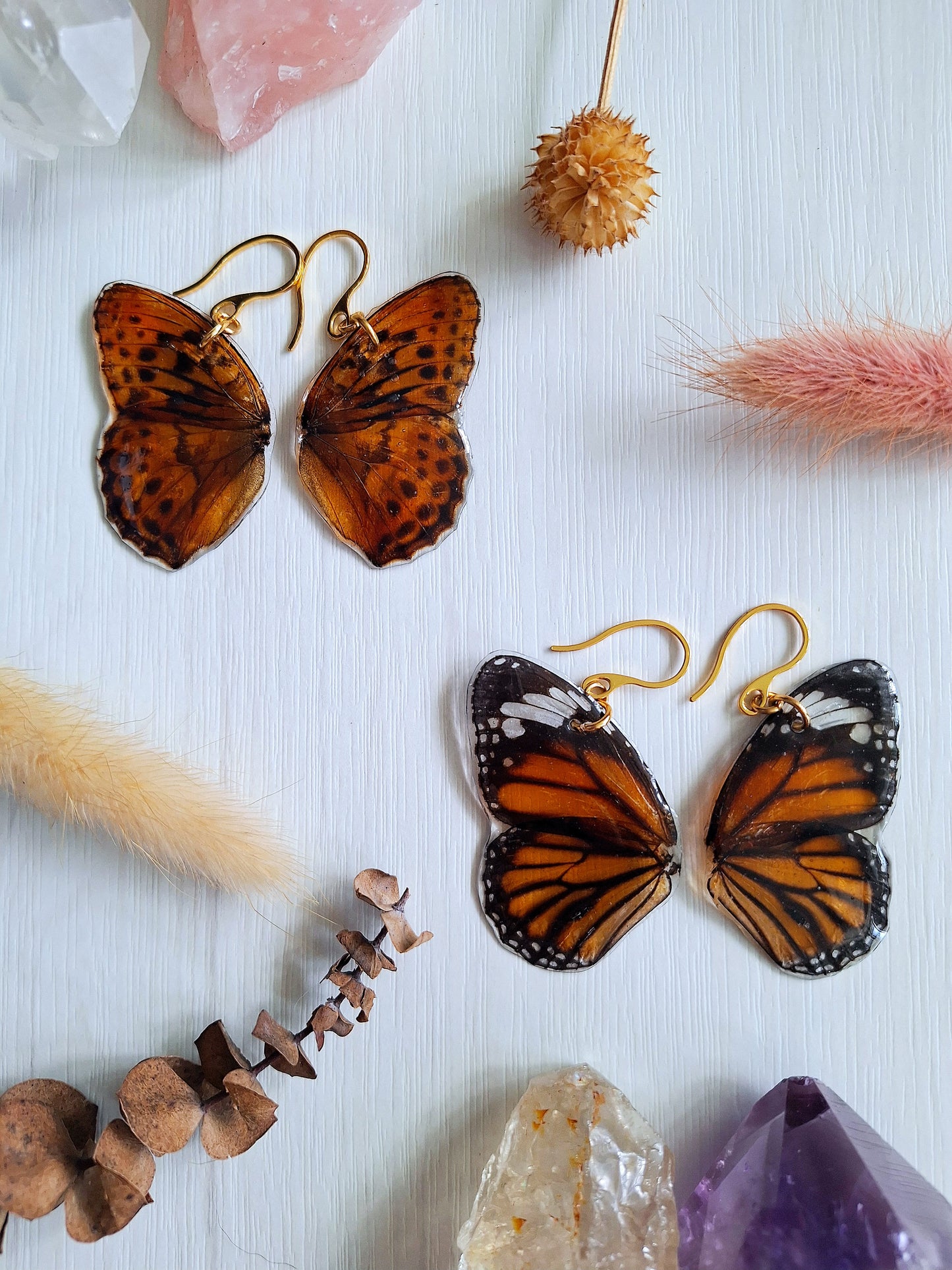 Real Butterfly