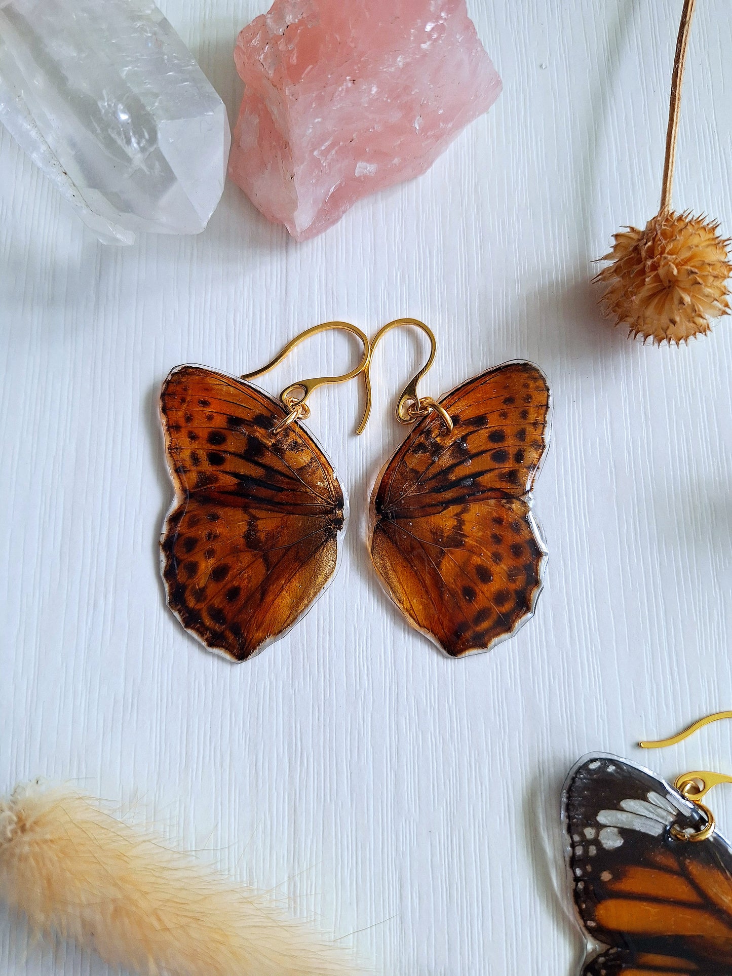 Real Butterfly