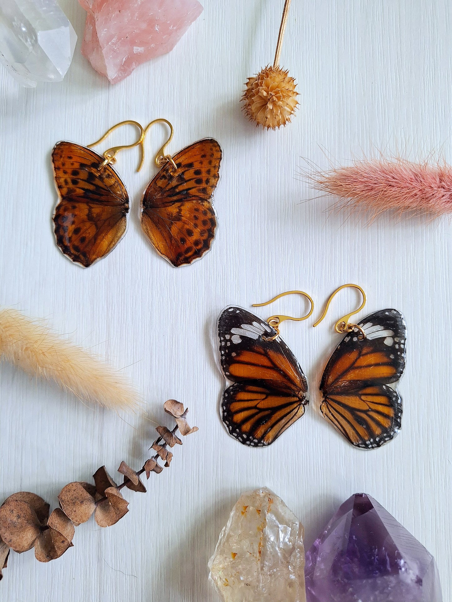 Real Butterfly
