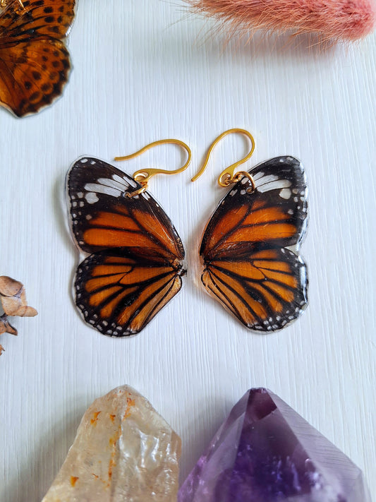 Real Butterfly