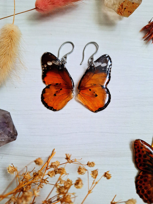 Butterfly earrings